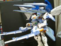 �W���ځ@�S�L���m���W�J�`�Ԏ΂�